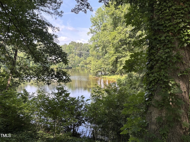 water view with a heavily wooded area