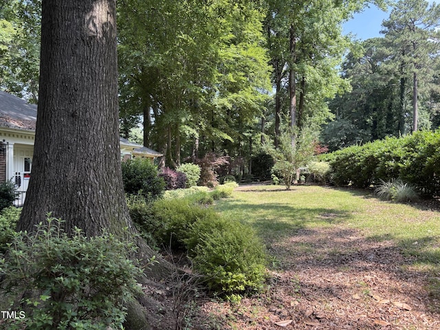 view of grassy yard