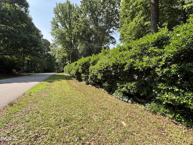 view of green lawn with driveway