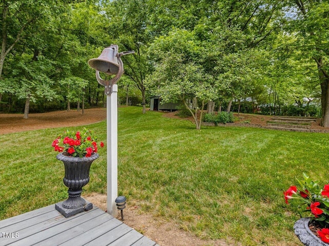 967 Bynum Rd, Pittsboro, NC 27312 - view of green lawn