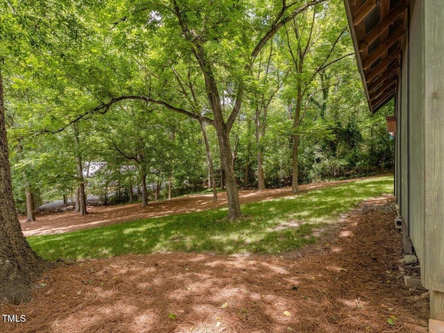 967 Bynum Rd, Pittsboro, NC 27312 - view of yard featuring a view of trees