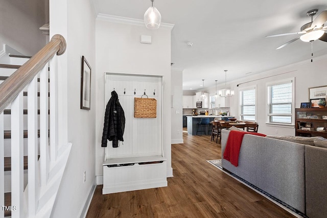 mudroom featuring ceiling fan with notable chandelier, dark wood-type flooring, and ornamental molding