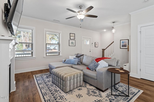 living room featuring dark wood-type flooring, ornamental molding, and ceiling fan