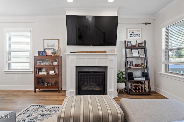 living room featuring crown molding and light wood-type flooring