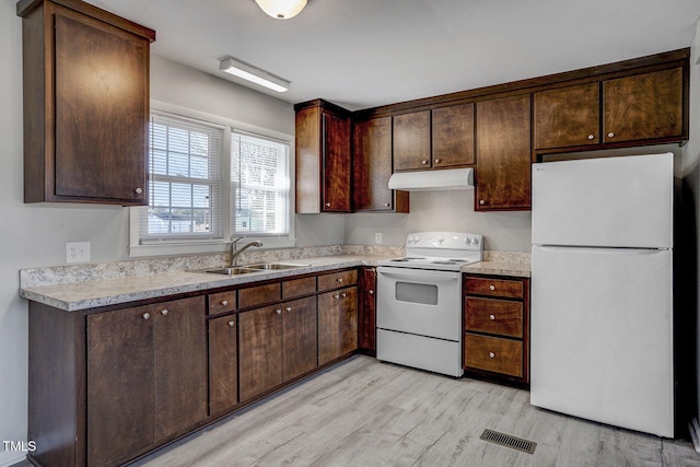 kitchen featuring dark brown cabinets, sink, white appliances, and light hardwood / wood-style floors