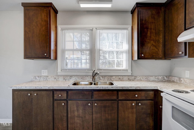 kitchen with sink, dark brown cabinets, ventilation hood, and white electric range oven