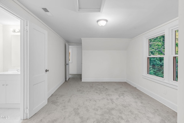 additional living space with carpet and baseboards