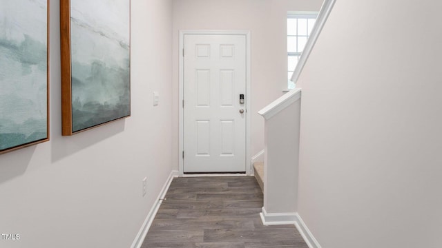 doorway with dark hardwood / wood-style flooring