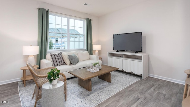 living room with hardwood / wood-style flooring