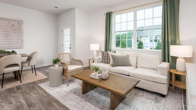 living room featuring dark wood-type flooring