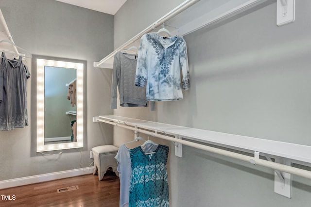 walk in closet featuring wood-type flooring