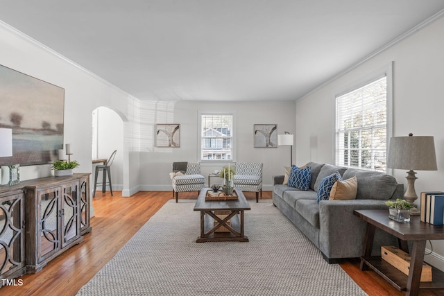 living room featuring hardwood / wood-style flooring and crown molding