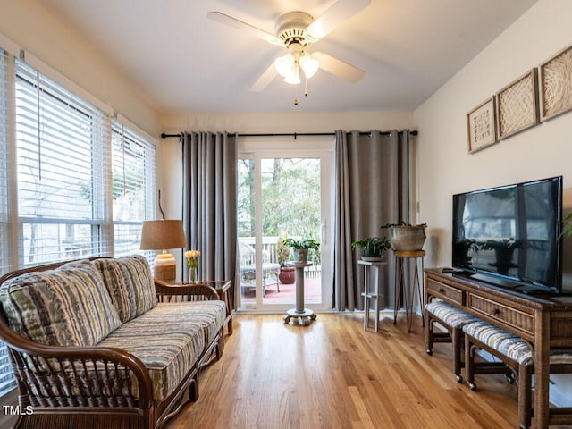 living area with ceiling fan and light wood-type flooring