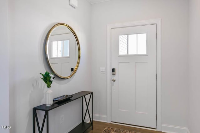 foyer entrance with a healthy amount of sunlight and dark wood-type flooring