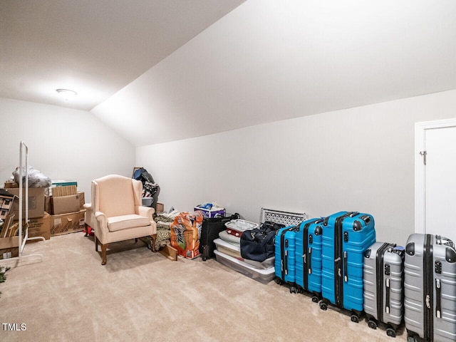 bonus room featuring vaulted ceiling and carpet