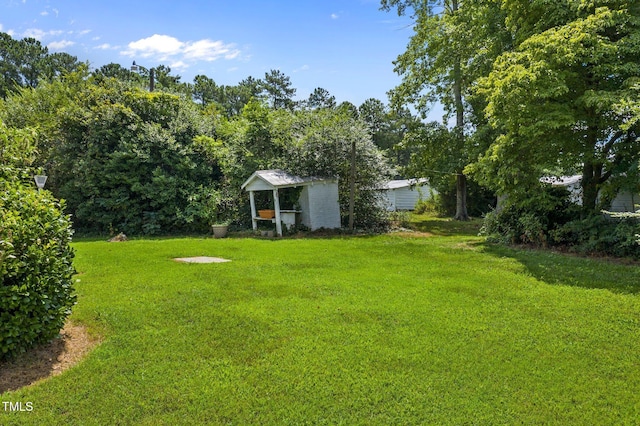 view of yard