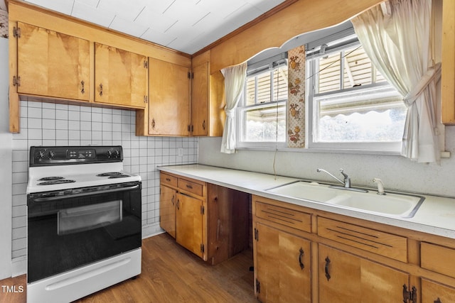 kitchen with tasteful backsplash, electric range oven, wood-type flooring, and sink