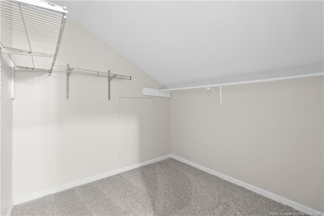 walk in closet featuring carpet floors and vaulted ceiling