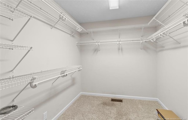 spacious closet featuring carpet