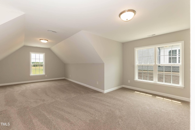 additional living space featuring vaulted ceiling and carpet