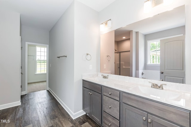 bathroom featuring vanity, hardwood / wood-style flooring, and a wealth of natural light