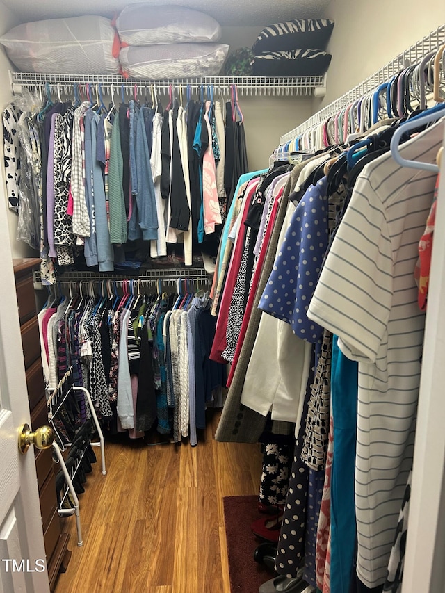 spacious closet featuring wood-type flooring