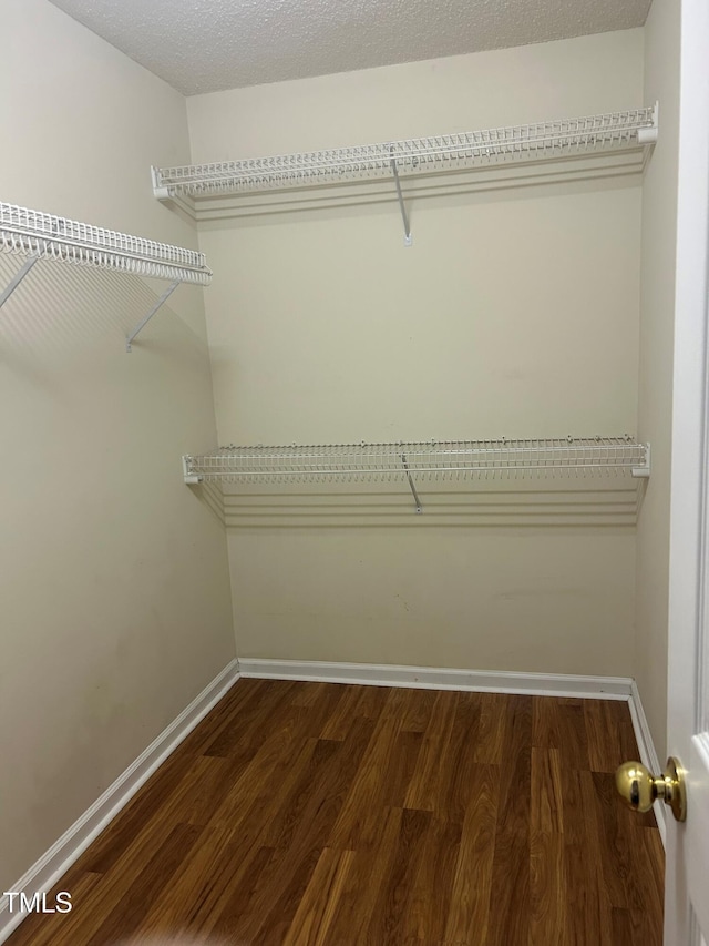 spacious closet with dark wood-type flooring