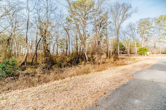 Listing photo 3 for Hickory House Rd, Sanford NC 27330