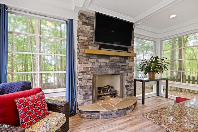 interior space featuring ornamental molding, hardwood / wood-style floors, and a fireplace