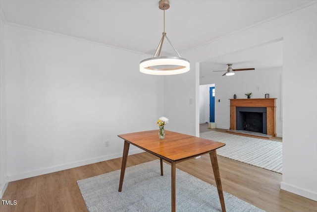 dining room with wood-type flooring and ceiling fan