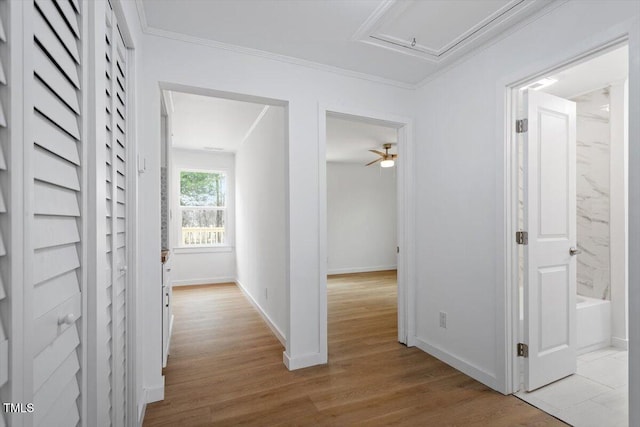 corridor featuring ornamental molding and light wood-type flooring