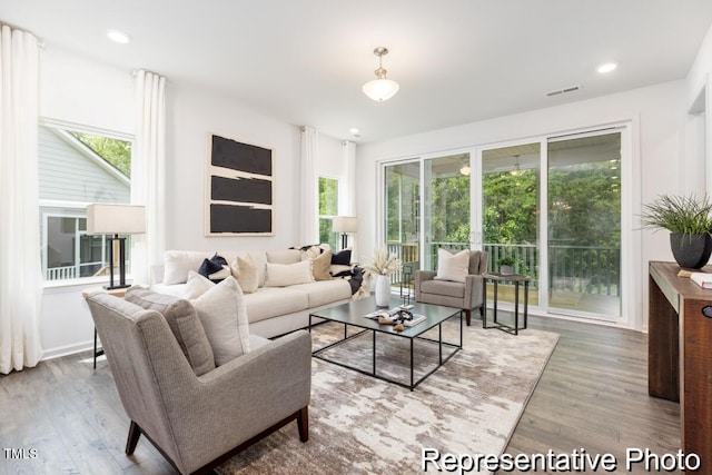 living room with hardwood / wood-style floors