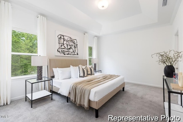 carpeted bedroom with multiple windows and a tray ceiling