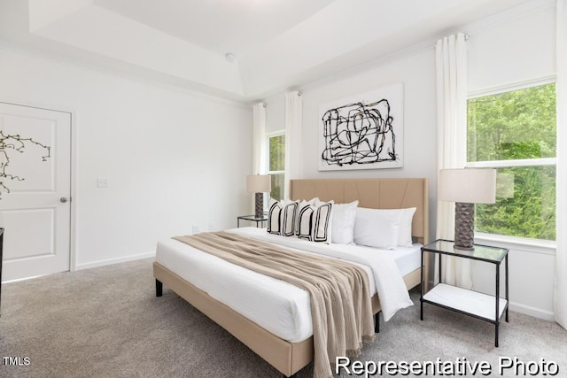 bedroom with a raised ceiling and carpet flooring