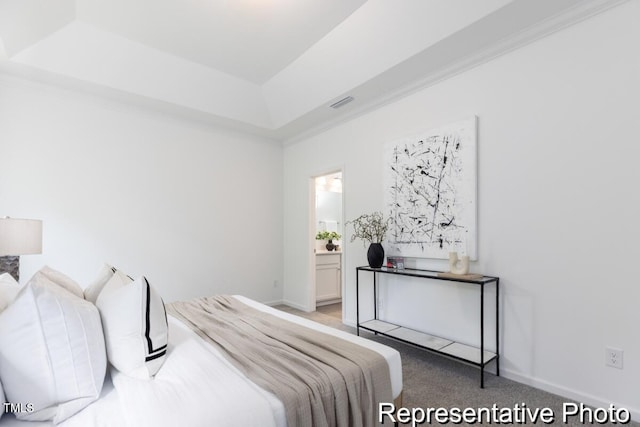 carpeted bedroom with a raised ceiling