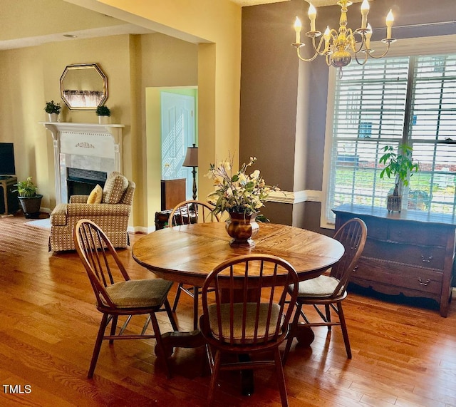 dining room with a wealth of natural light, a fireplace, and wood finished floors