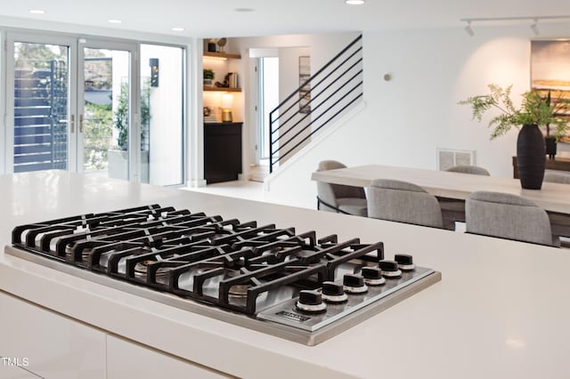 interior details with stainless steel gas stovetop and rail lighting