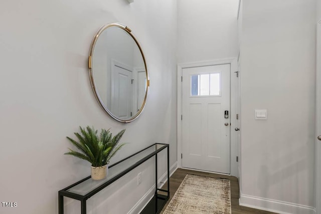 foyer featuring dark wood-type flooring