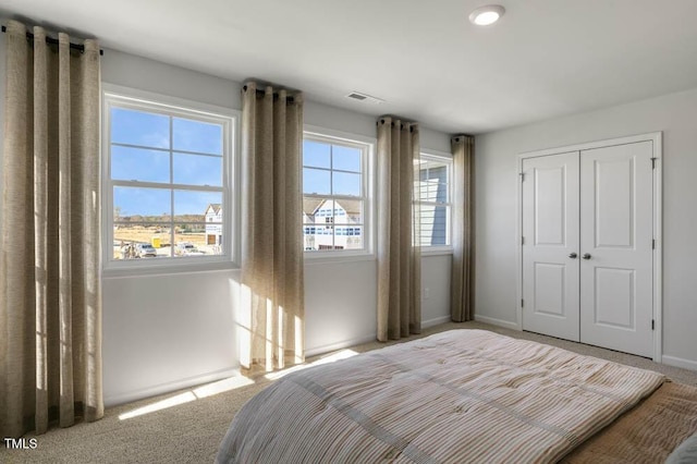 bedroom with a closet, carpet flooring, and multiple windows