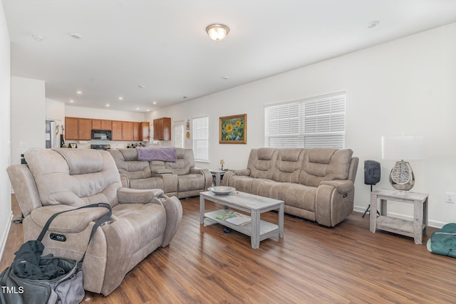 living room with hardwood / wood-style floors