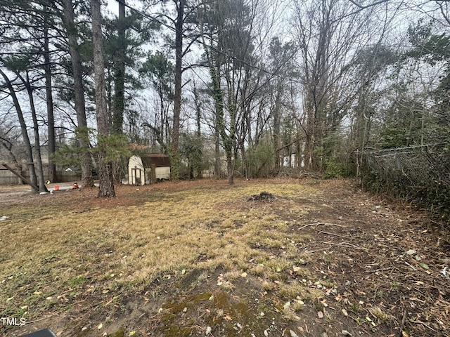 view of yard with a storage unit