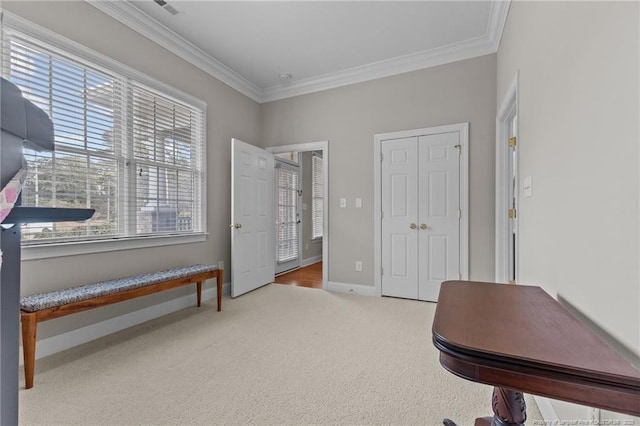 miscellaneous room with carpet floors and ornamental molding