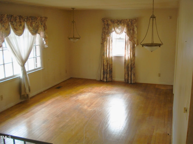 empty room with wood-type flooring and a healthy amount of sunlight