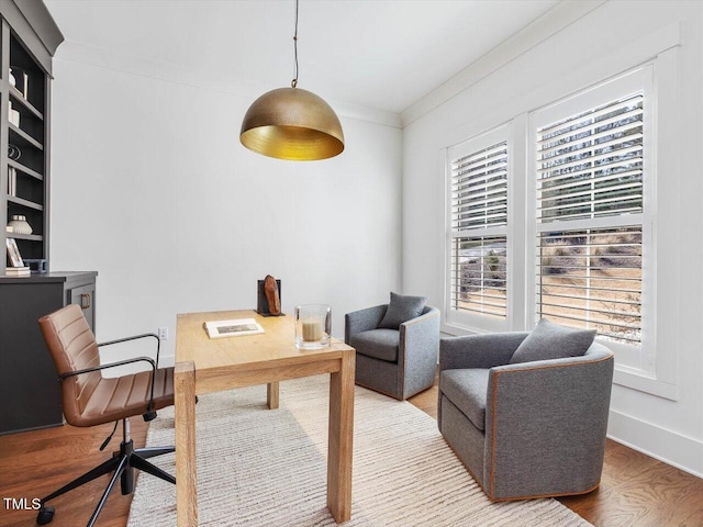 office featuring ornamental molding and hardwood / wood-style floors