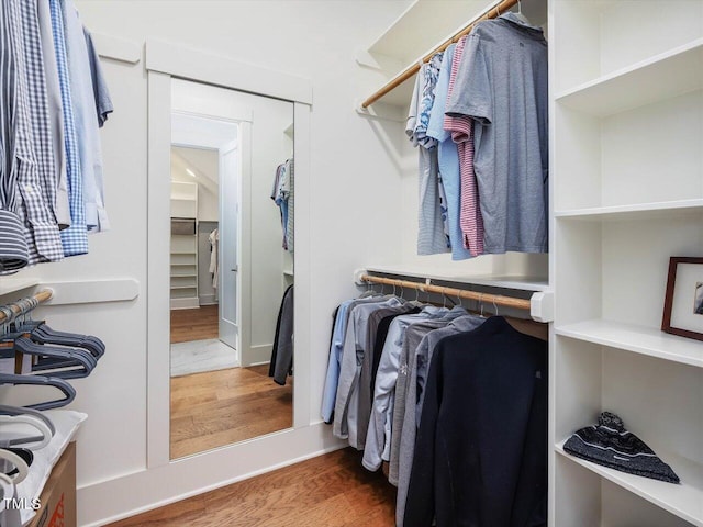 spacious closet featuring wood-type flooring