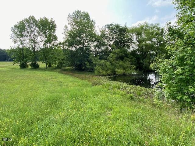 1167 John D Winstead Rd, Roxboro, NC 27574 - view of undeveloped land