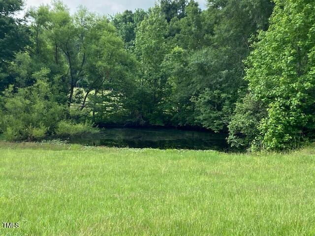 1167 John D Winstead Rd, Roxboro, NC 27574 - view of yard with a water view and a forest view