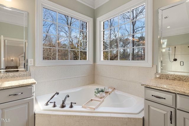 bathroom with vanity, crown molding, and independent shower and bath