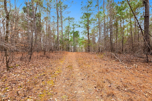 view of local wilderness