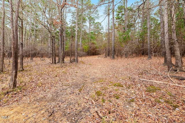 view of local wilderness